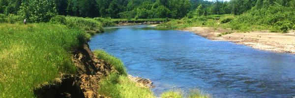 River with an eroded bank during the summer
